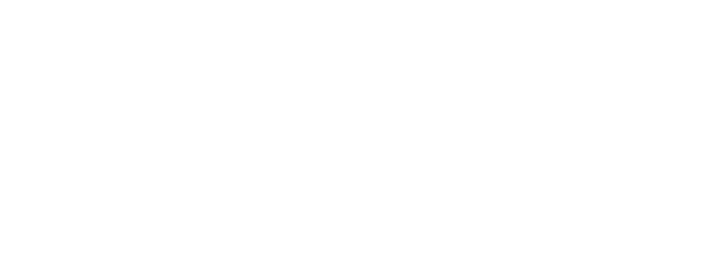 Delores McLaughlin, Arizona State House LD24